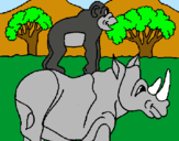 Dibujo Rinoceronte y mono pintado por lucassimon