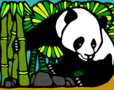 Dibujo Oso panda y bambú pintado por mciurana