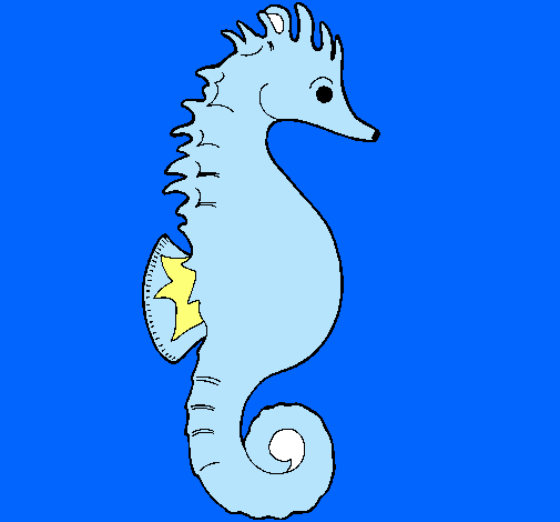 Caballito de mar