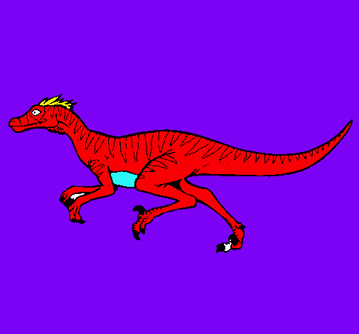 Velociraptor