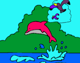 Dibujo Delfín y gaviota pintado por danely