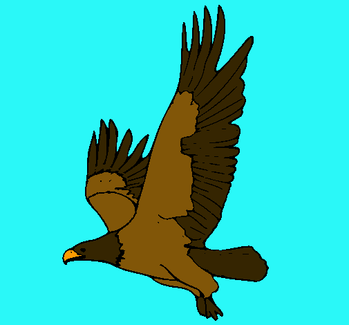 Águila volando