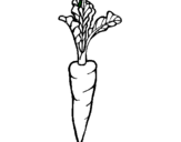 Dibujo zanahoria pintado por sanahoria