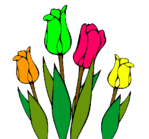 Tulipanes