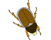 Dibujo Escarabajo pintado por valeriaoooo