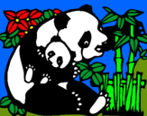 Dibujo Mama panda pintado por bear