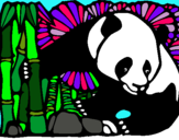 Dibujo Oso panda y bambú pintado por 15006