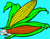 Dibujo Mazorca de maíz pintado por nayua