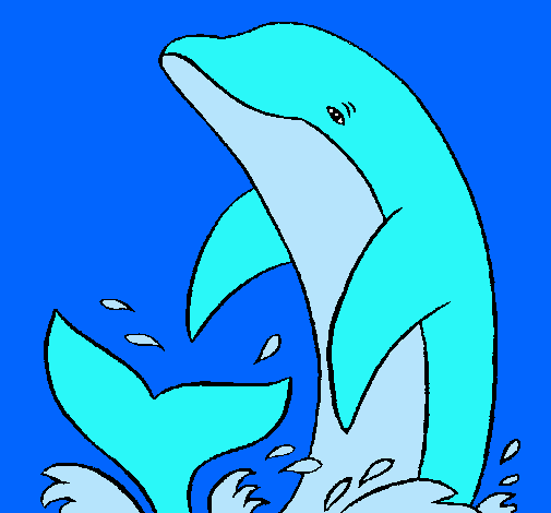 Delfín chapoteando