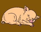 Dibujo Cerdo durmiendo pintado por la-lo
