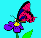 Dibujo Mariposa en una flor pintado por maripos