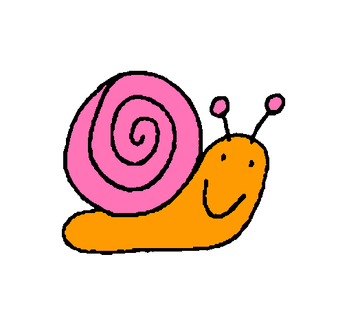 Caracol 4