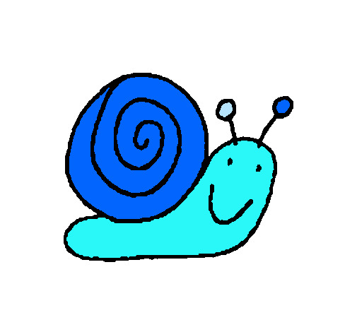 Caracol 4