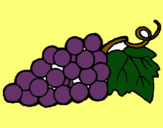 Dibujo racimo pintado por uvas