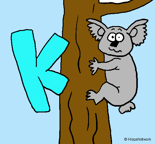 Koala