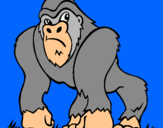 Dibujo Gorila pintado por ehdiue