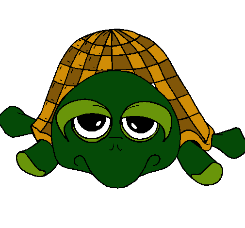 Tortuga