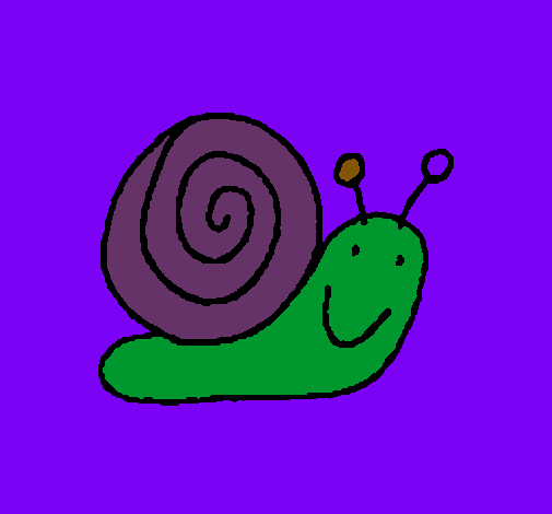 Caracol 4