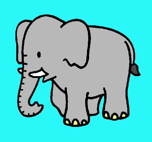 Elefante bebe