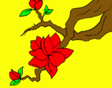 Dibujo Flor de almendro pintado por saory
