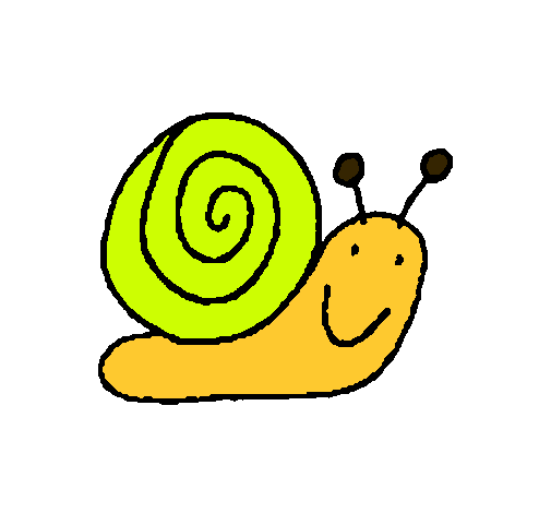 Caracol 4