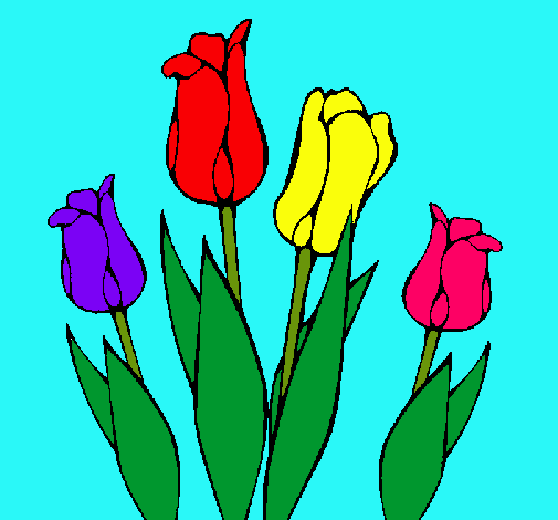 Tulipanes