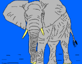 Dibujo Elefante pintado por FGSTYF