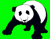 Dibujo Oso panda pintado por supercerdito