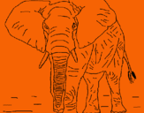 Dibujo Elefante pintado por 142536987451