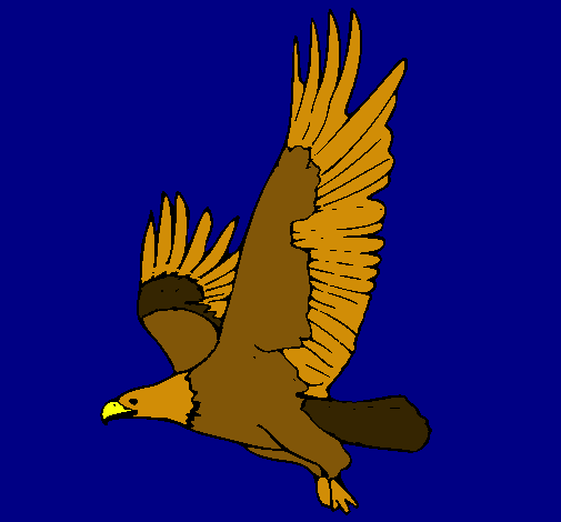 Águila volando