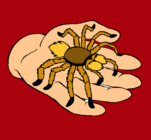 Tarántula