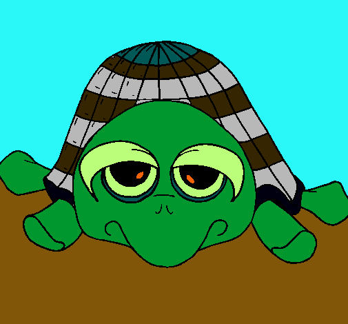 Tortuga