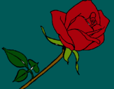 Dibujo Rosa pintado por rihanna