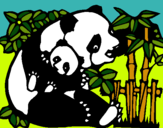 Dibujo Mama panda pintado por amorpanda34t