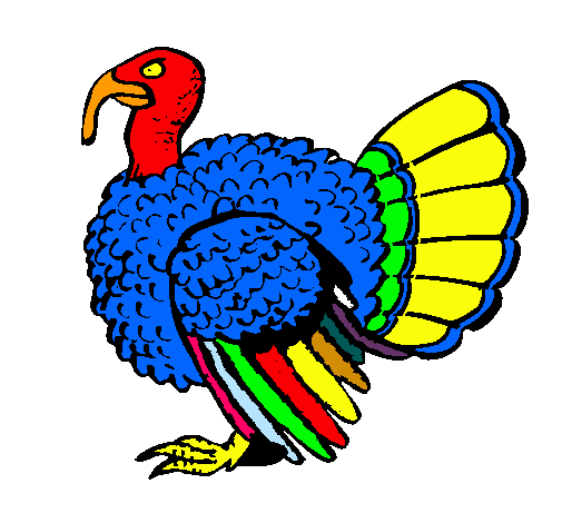 Pavo 