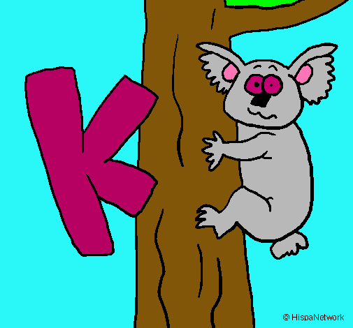 Koala