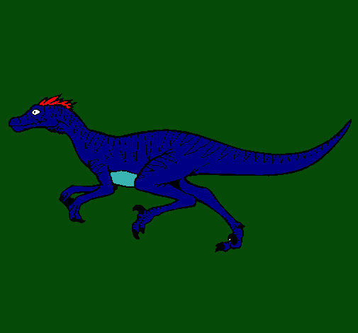 Velociraptor