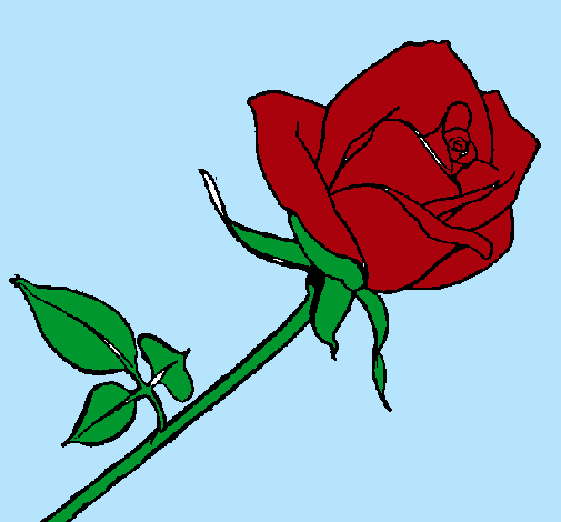 Dibujo Rosa pintado por aroaylore