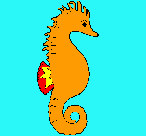 Caballito de mar