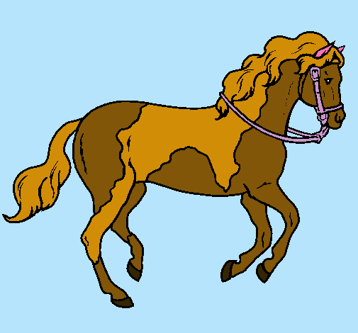 Caballo 5