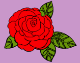 Dibujo Rosa pintado por JoOceLoOve