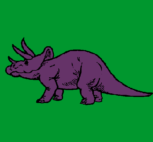 Triceratops