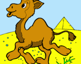 Dibujo Camello pintado por colivevc