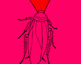 Dibujo Cucaracha pintado por aaAAAAAAAAAA