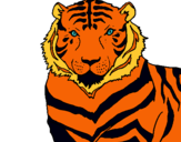 Dibujo Tigre pintado por lunic