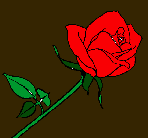 Rosa