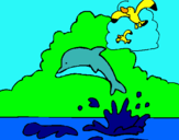 Dibujo Delfín y gaviota pintado por sobaco