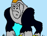 Dibujo Gorila pintado por ghjjjkkki5