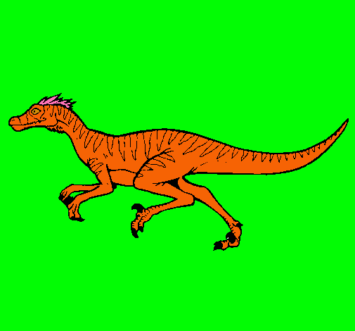 Dibujo Velociraptor pintado por Benjamin3