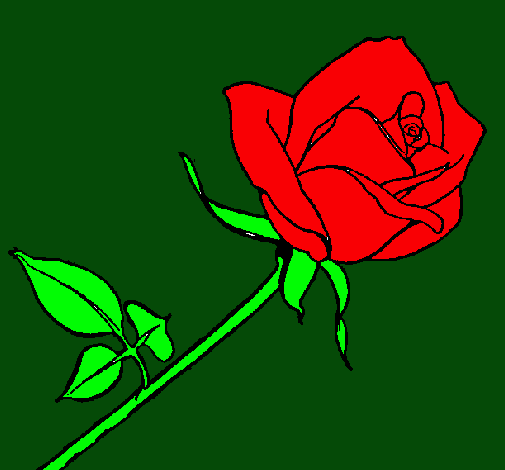 Dibujo Rosa pintado por floreanny